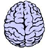 brains